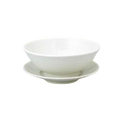 Wafu Chuka Kobiki Ramen Bowl Saucer