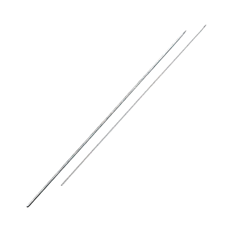 Stainless Round Fish Skewers Set of 10